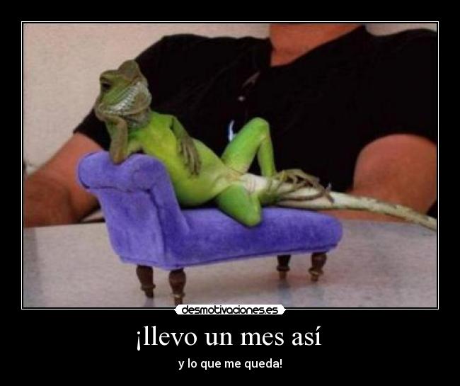 ¡llevo un mes así -