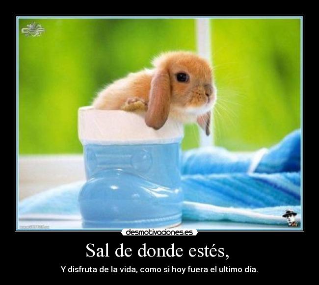 carteles desmotivaciones