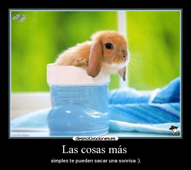 Las cosas más -