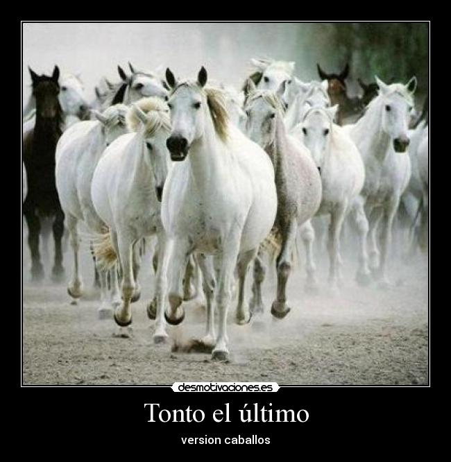 Tonto el último - version caballos