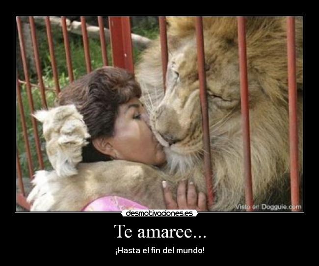 Te amaree... - ¡Hasta el fin del mundo!