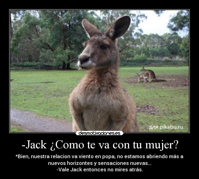 -Jack ¿Como te va con tu mujer? - *Bien, nuestra relacion va viento en popa, no estamos abriendo más a
nuevos horizontes y sensaciones nuevas...
-Vale Jack entonces no mires atrás.