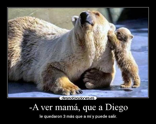 carteles motherfucker desmotivaciones