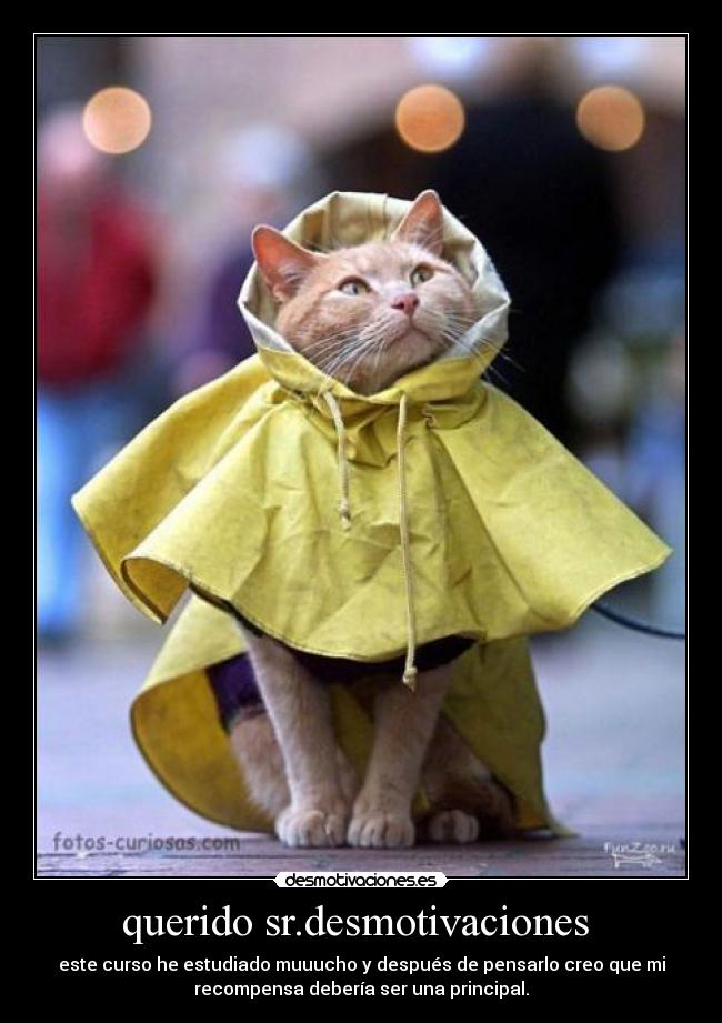 querido sr.desmotivaciones -