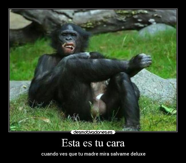 Esta es tu cara - cuando ves que tu madre mira salvame deluxe