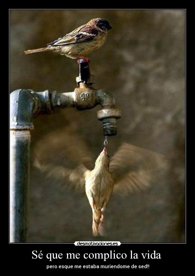 Sé que me complico la vida -