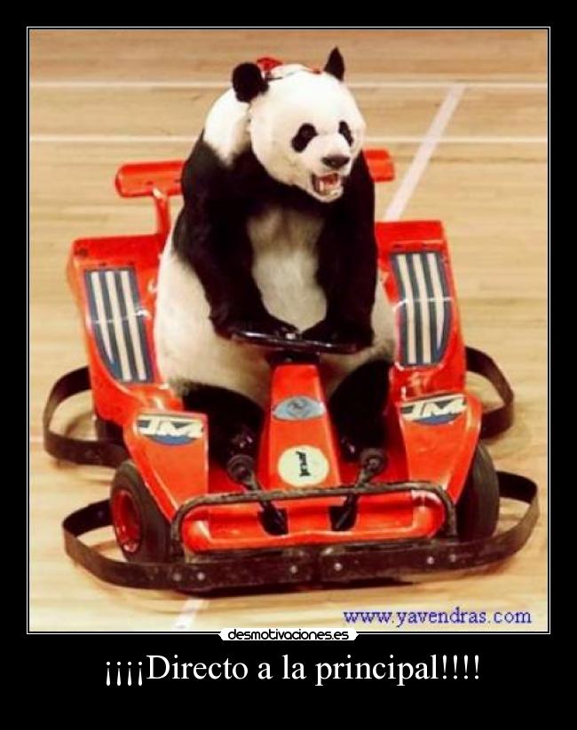 ¡¡¡¡Directo a la principal!!!! -