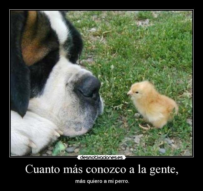Cuanto más conozco a la gente, - más quiero a mi perro.