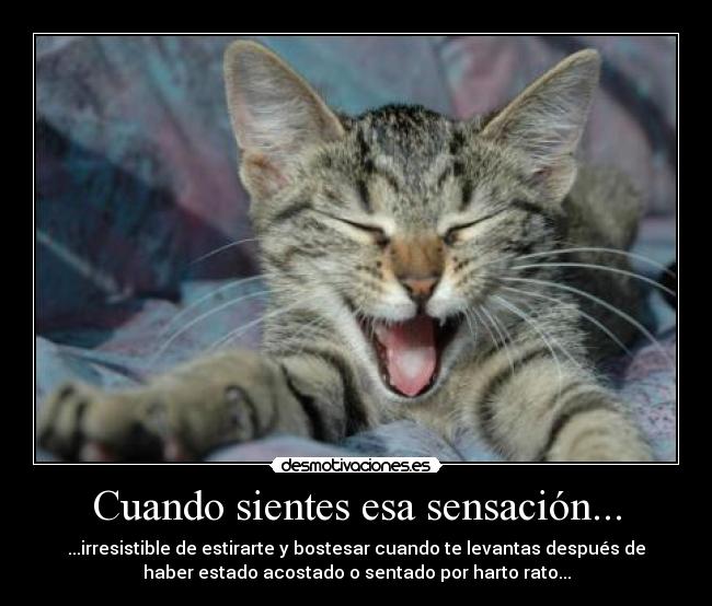 Cuando sientes esa sensación... -