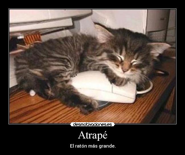 Atrapé - El ratón más grande.