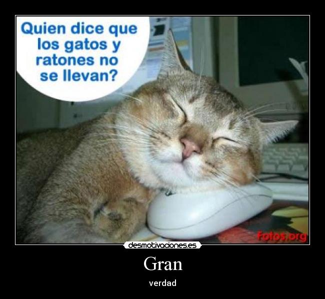 Gran - verdad