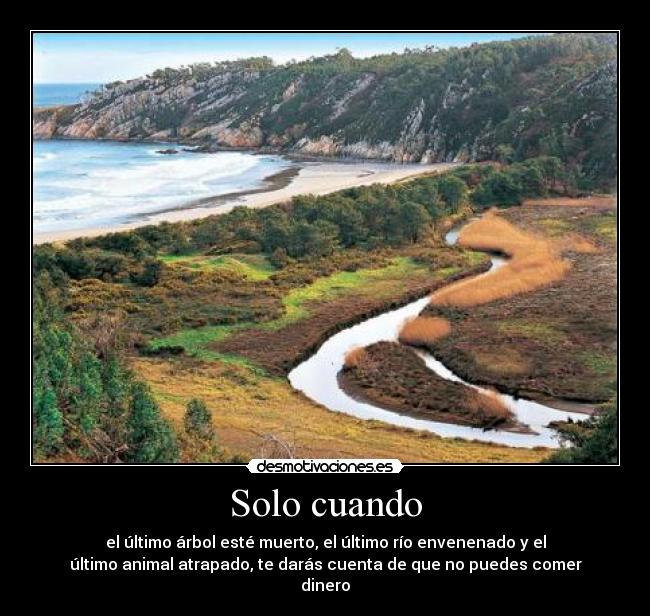 Solo cuando - el último árbol esté muerto, el último río envenenado y el
último animal atrapado, te darás cuenta de que no puedes comer
dinero
