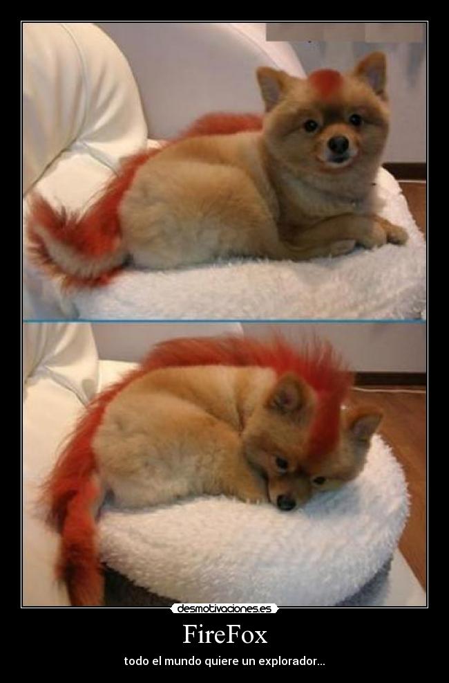 FireFox -