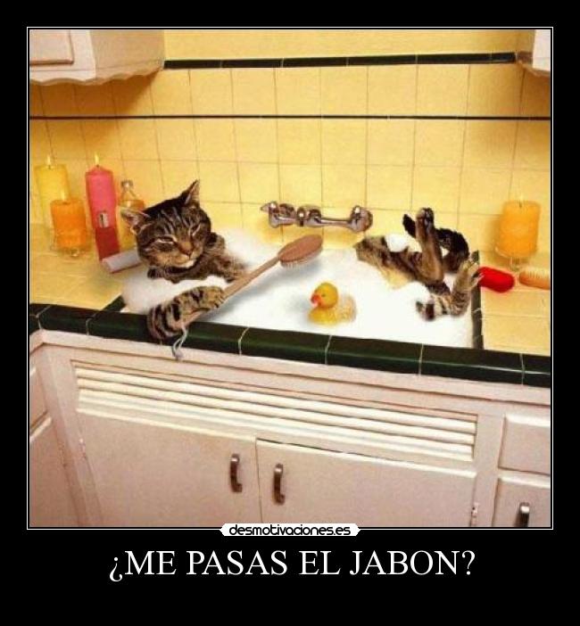 ¿ME PASAS EL JABON? - 