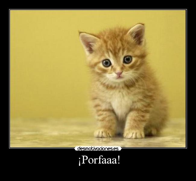 ¡Porfaaa! - 