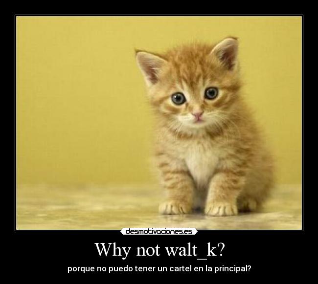 carteles why not desmotivaciones