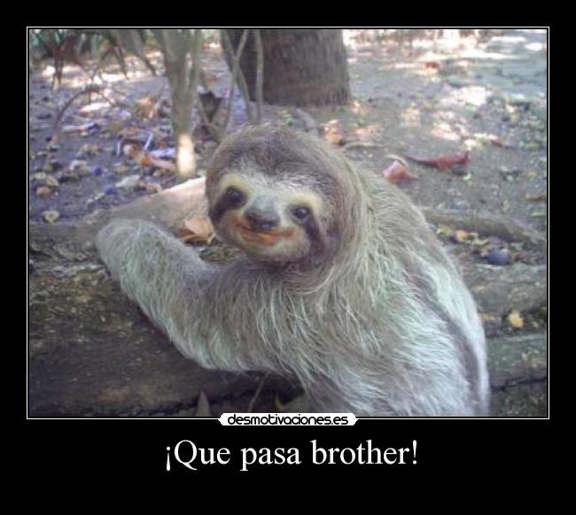 ¡Que pasa brother! - 
