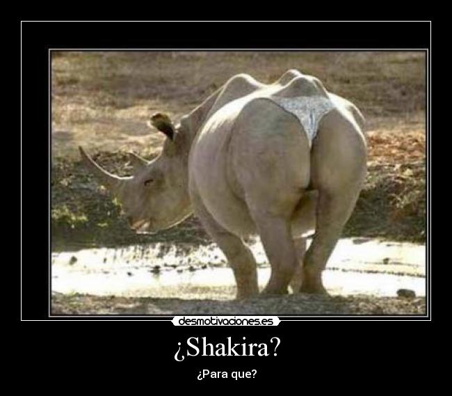 ¿Shakira? - ¿Para que?