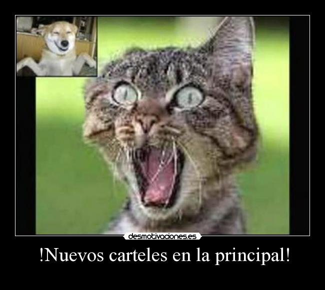 !Nuevos carteles en la principal! -
