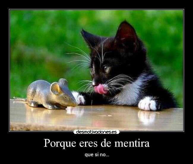 Porque eres de mentira - que si no...