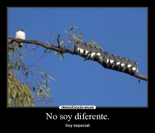 No soy diferente. -