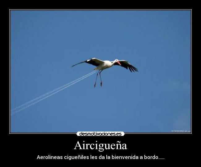 Aircigueña - 