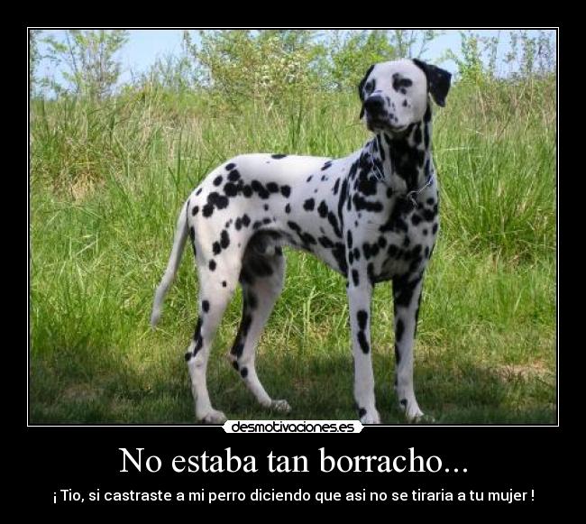 No estaba tan borracho... - ¡ Tio, si castraste a mi perro diciendo que asi no se tiraria a tu mujer !