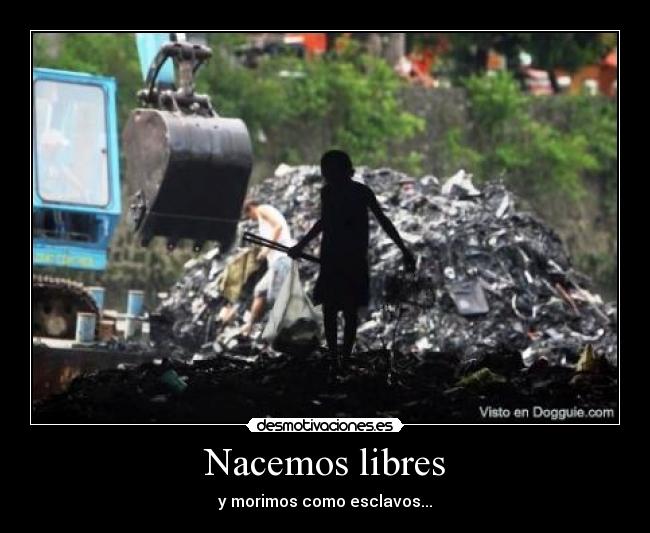 Nacemos libres -