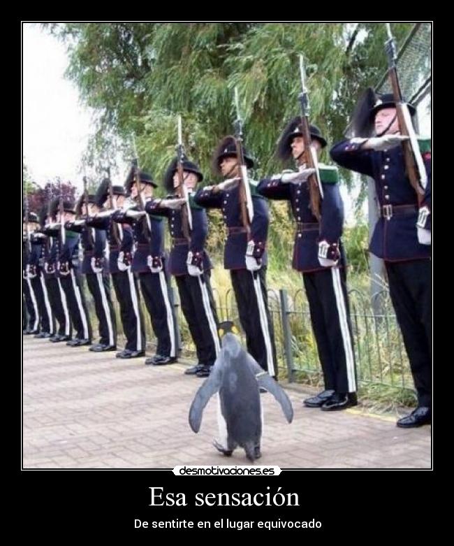 Esa sensación - De sentirte en el lugar equivocado