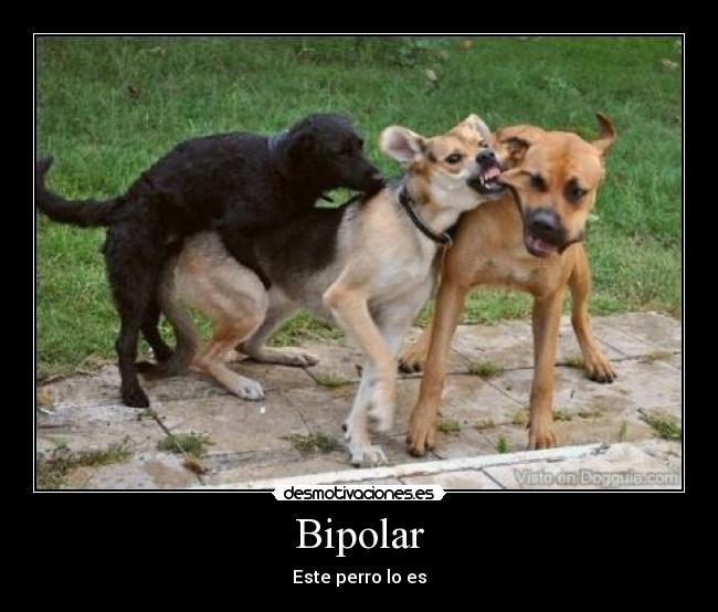 Bipolar -