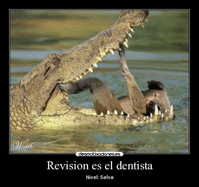Revision es el dentista - Nivel: Selva
