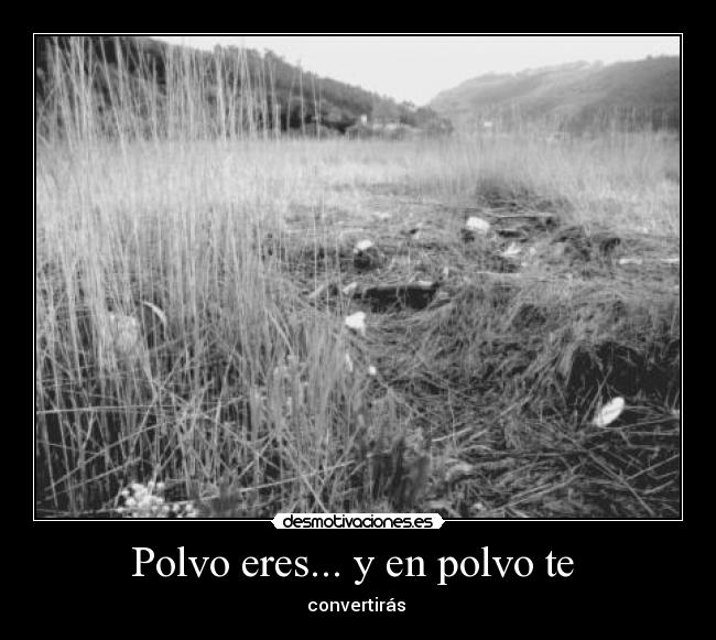 Polvo eres... y en polvo te -