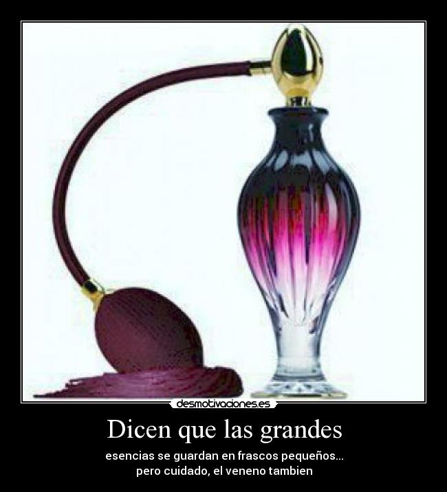 Dicen que las grandes - 