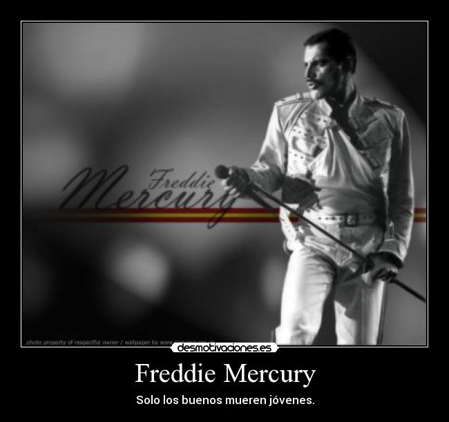 Freddie Mercury -