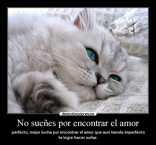 No sueñes por encontrar el amor -