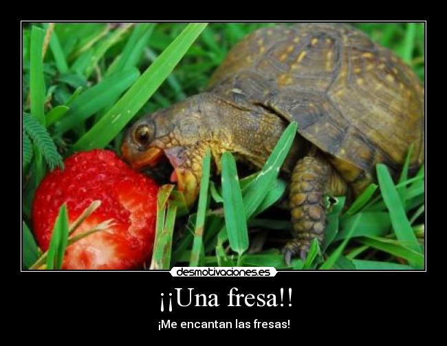 ¡¡Una fresa!! - 