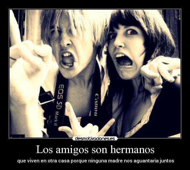 Los amigos son hermanos - 