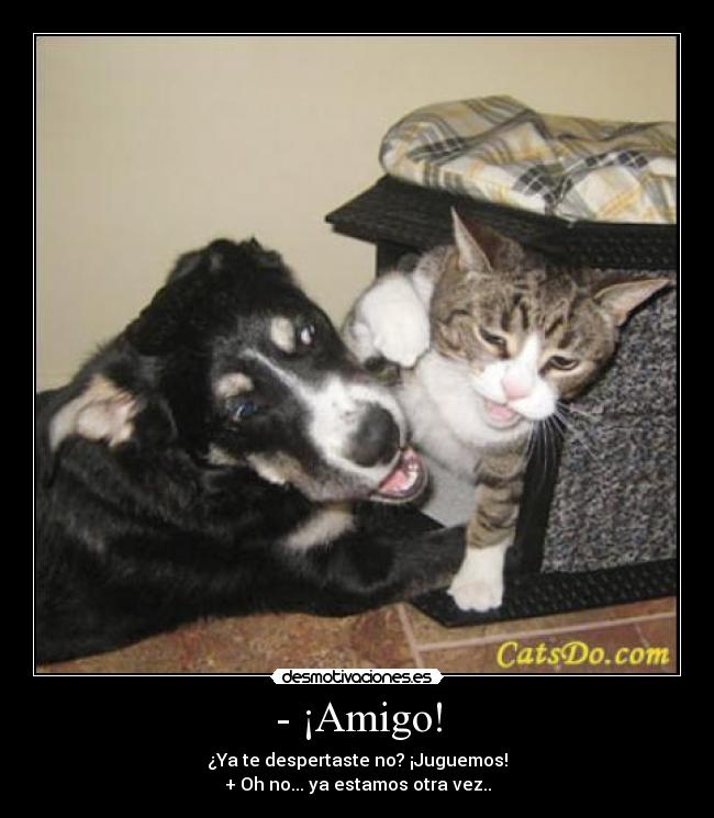 - ¡Amigo! - ¿Ya te despertaste no? ¡Juguemos!
+ Oh no... ya estamos otra vez..