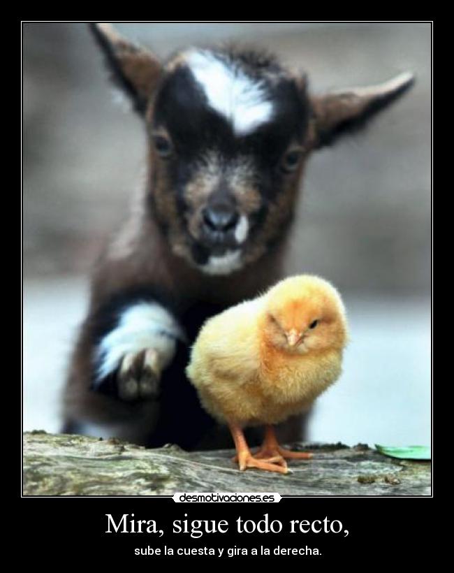 Mira, sigue todo recto, - sube la cuesta y gira a la derecha.