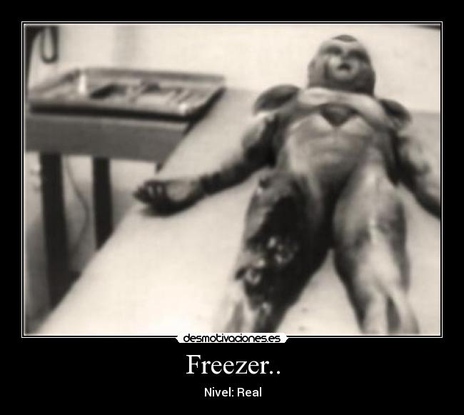 Freezer.. - 