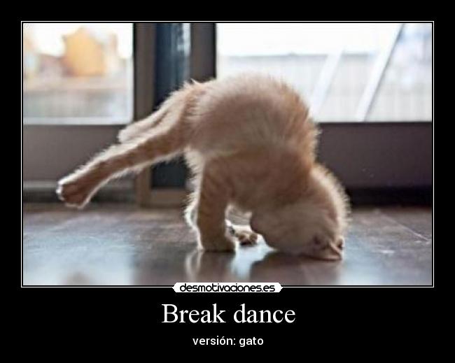 Break dance - versión: gato