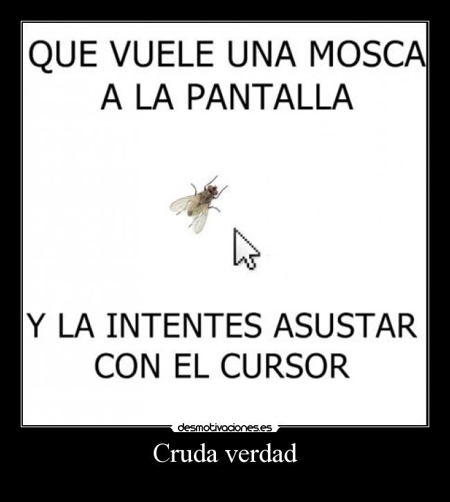 Cruda verdad - 