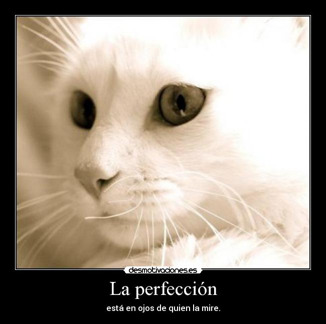 La perfección - está en ojos de quien la mire.