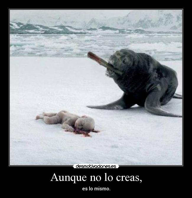 Aunque no lo creas, - es lo mismo.