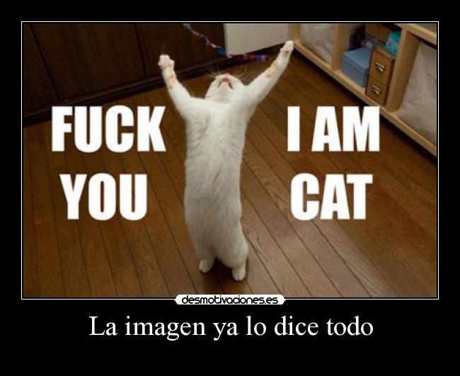 La imagen ya lo dice todo -