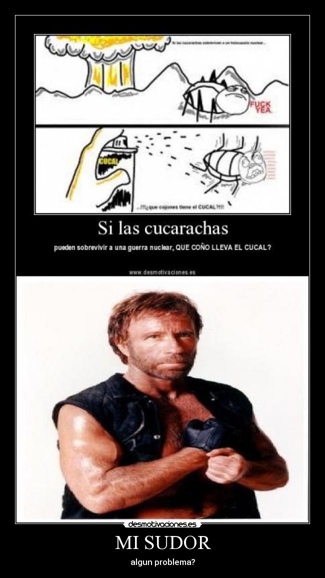 carteles jodas desmotivaciones