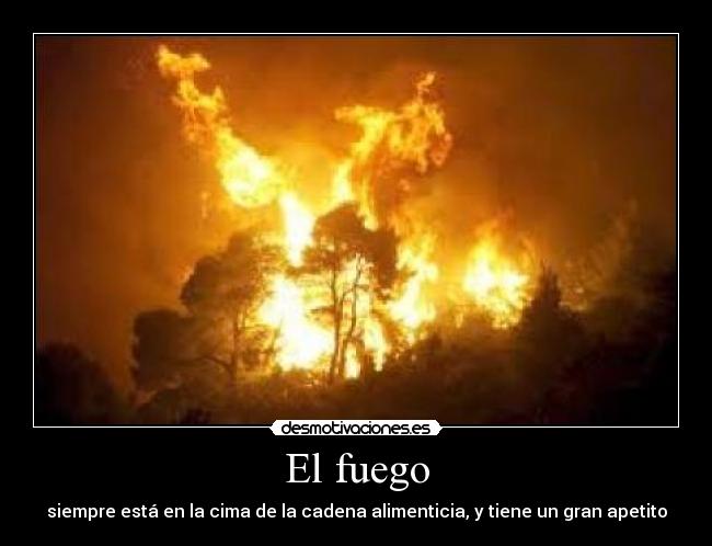 El fuego - siempre está en la cima de la cadena alimenticia, y tiene un gran apetito