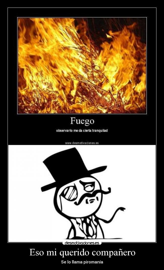 Eso mi querido compañero - 