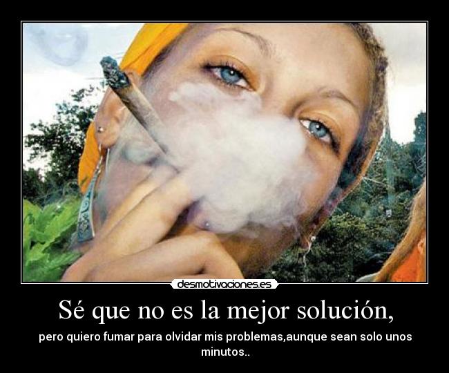 carteles camaleonika desmotivaciones