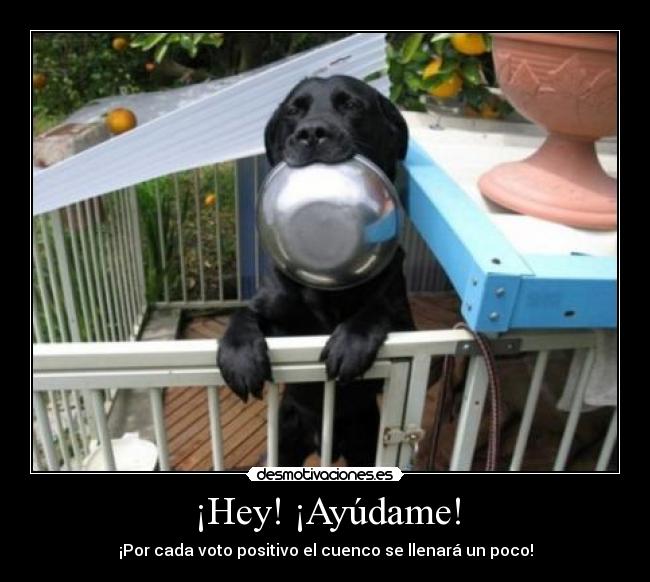 ¡Hey! ¡Ayúdame! - 